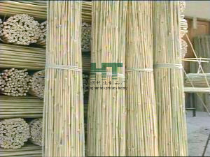 【供应茶杆竹】价格,厂家,图片,林业产品,广东怀集华通竹业制品厂-