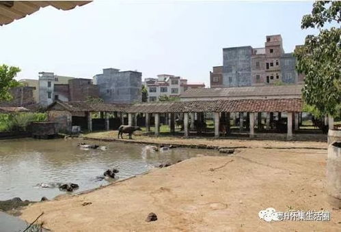 怀集这个乡镇市场全县唯一,曾闻名粤桂湘三省...厉害了